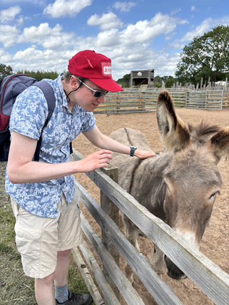 rs donkey