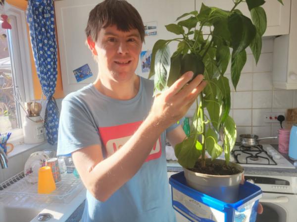 dan pepper plant