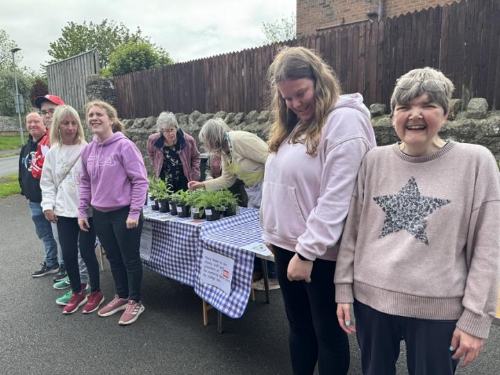 acomb plant sale